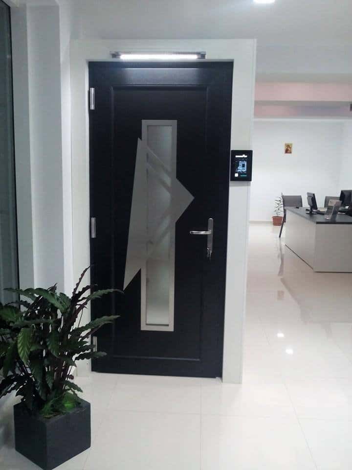Uși de intrare personalizate pentru casa ta