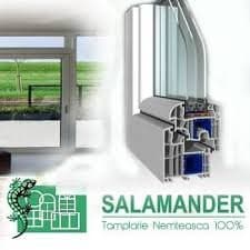 De ce să alegi ferestrele și ușile Salamander pentru casa ta